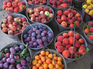 an assortment of fruit in pails - spring