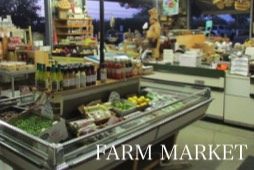 farm market
